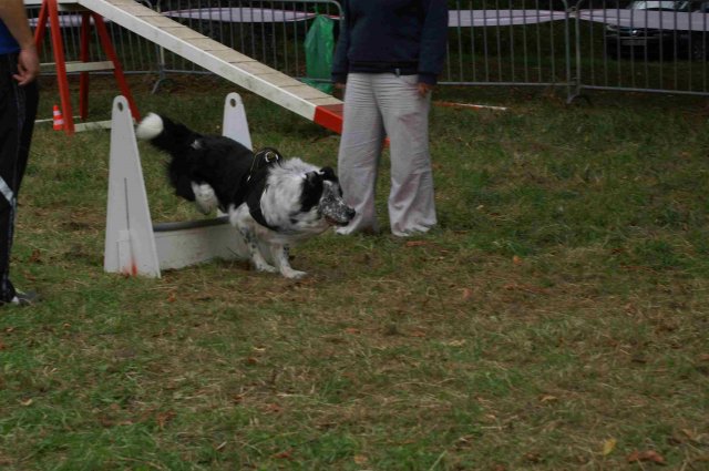 foire-haricots 2011-09-17et18